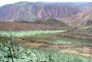 Los Alamos Aerial Hydromulching and Seeding